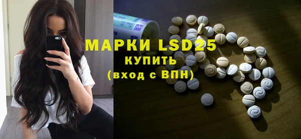 прущие грибы Аркадак
