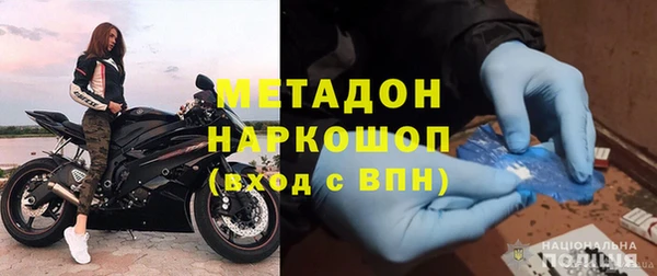 прущие грибы Аркадак