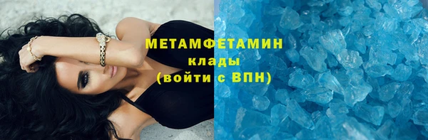 прущие грибы Богородск