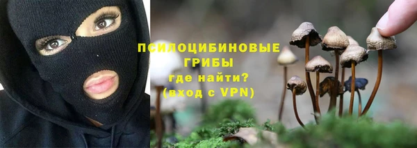 PSILOCYBIN Арсеньев