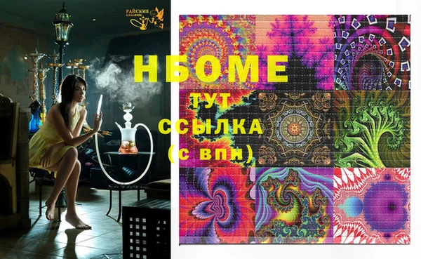 прущие грибы Аркадак