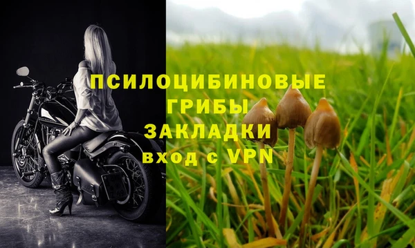 прущие грибы Богородск