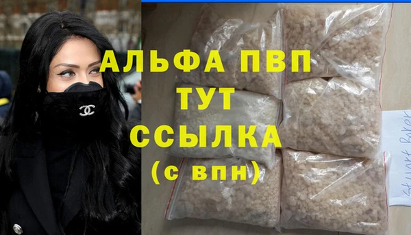 стаф Дубна