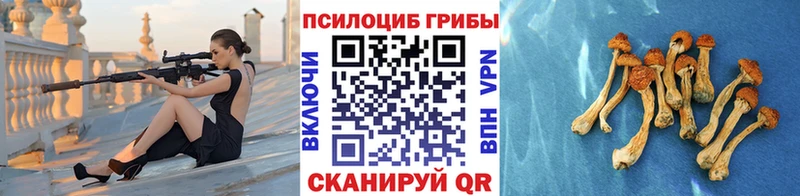 Галлюциногенные грибы Cubensis  omg tor  Нея 